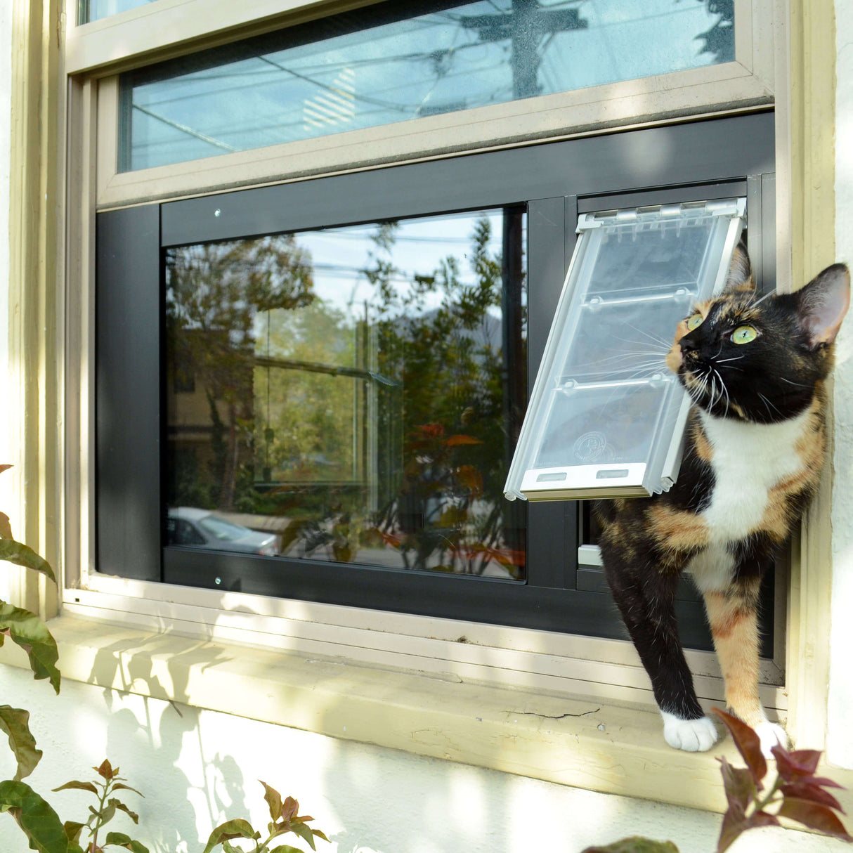 Cat using Endura Flap window installation